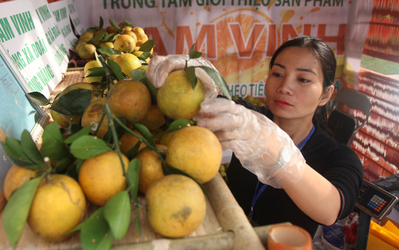 Ngan-chan-mao-danh-ma-so-vung-trong-Khong-de-con-sau-lam-rau-noi-canh